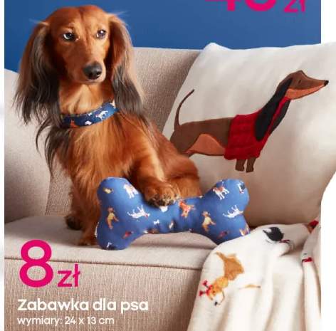 zabawka dla psa