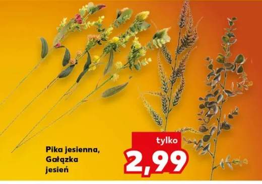 jesień