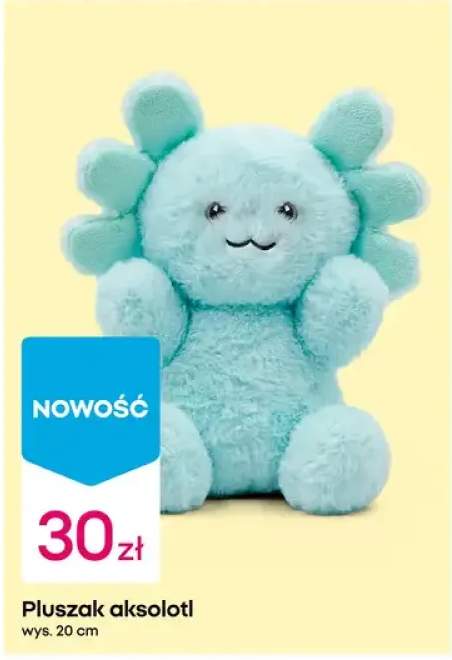 Pluszak aksolotl