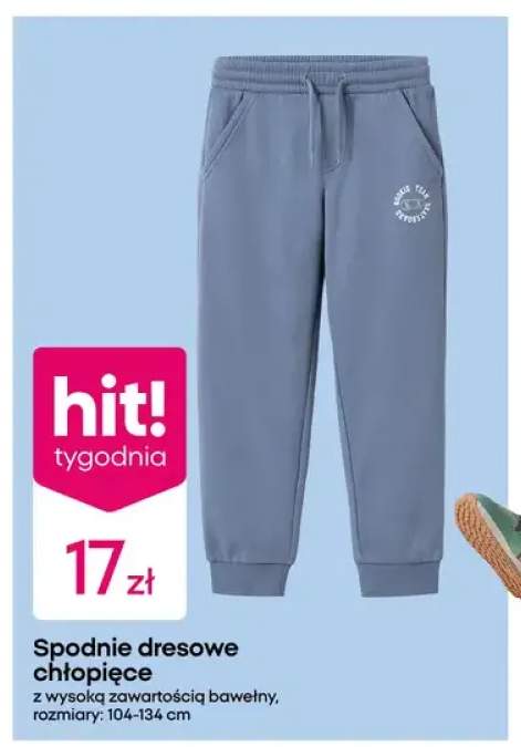 Spodnie dresowe chłopięce z wysoką zawartością bawełny