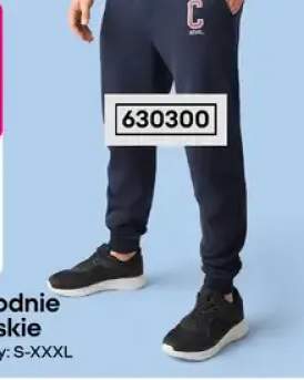 Spodnie dresowe męskie z bawełną