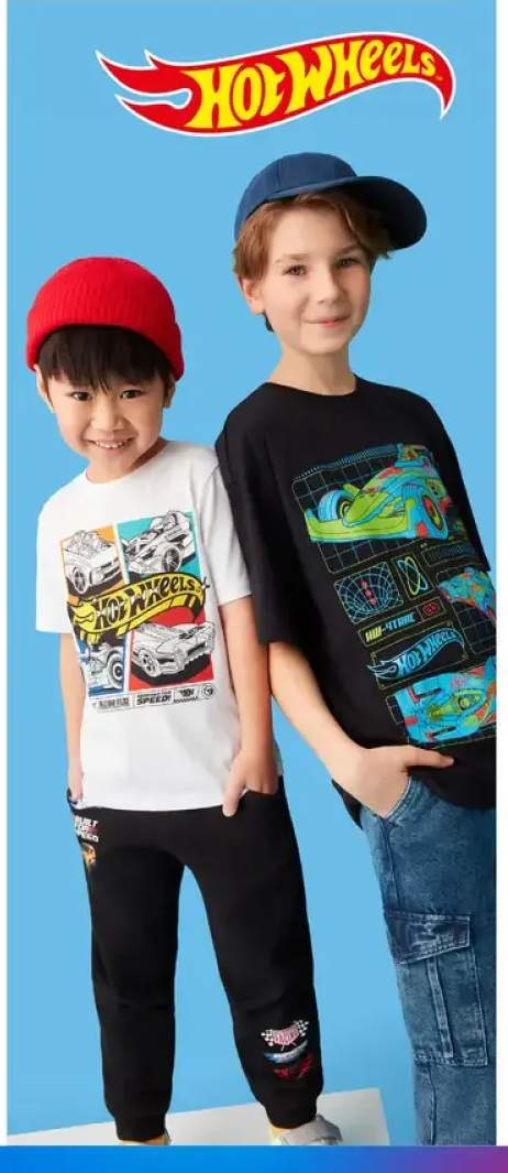 Kolekcja Hot Wheels - cena od: