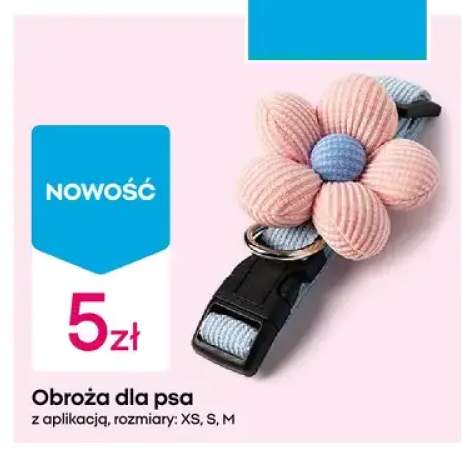 Obroża dla psa z aplikacją