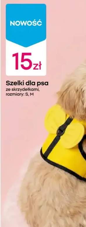 szelki dla psa