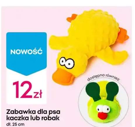 Zabawka dla psa kaczka lub robak