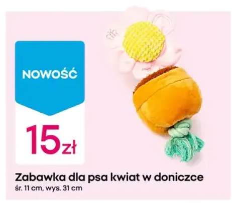Zabawka dla psa kwiat w doniczce