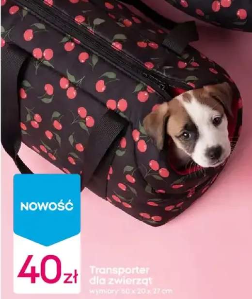 Transporter dla zwierząt 50x20x27cm