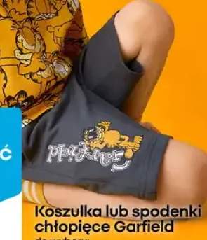 Spodenki chłopięce Garfield z bawełną