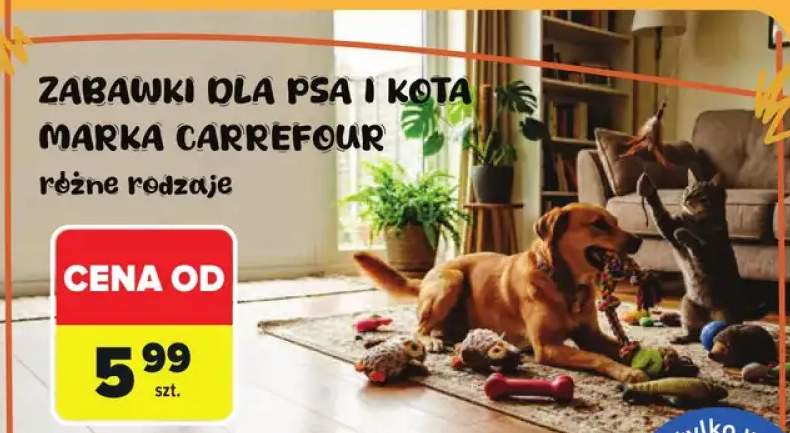 zabawka dla psa