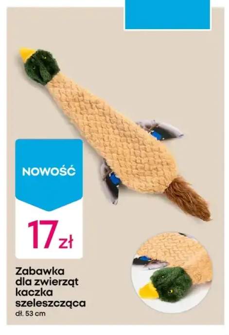 Zabawka dla zwierząt kaczka szeleszcząca