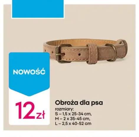 Obroża dla psa