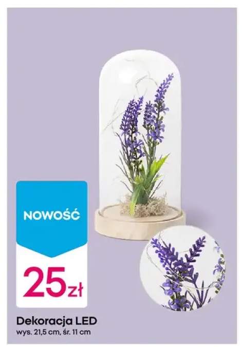 Dekoracja LED