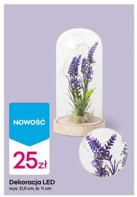 Dekoracja LED