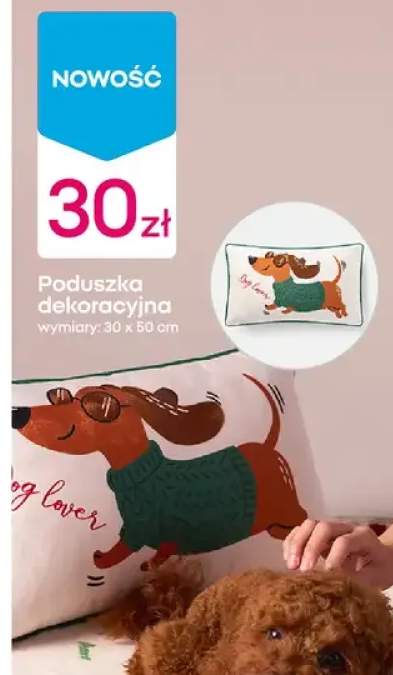 Poduszka dekoracyjna