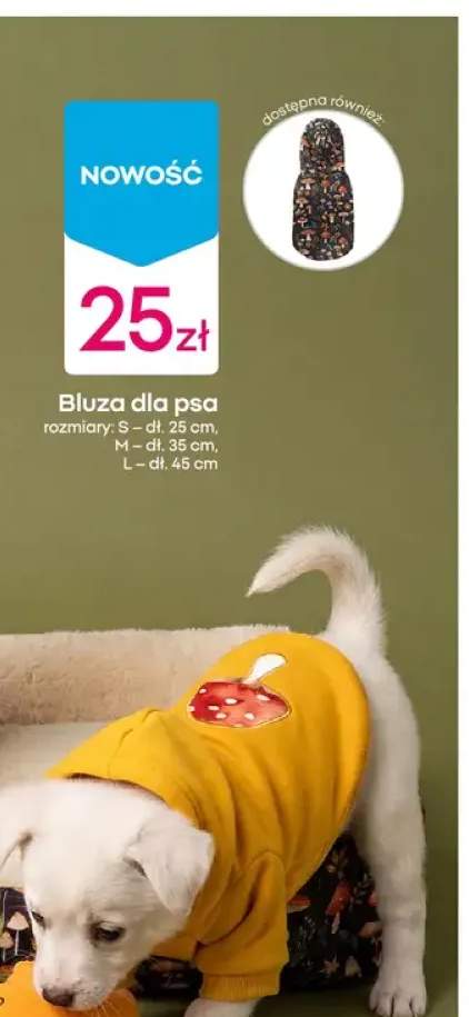 Bluza dla psa