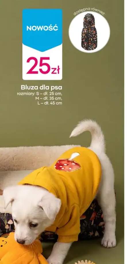 Bluza dla psa