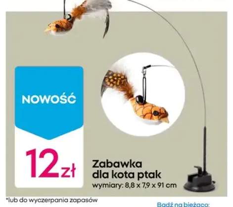 Zabawka dla kota ptak