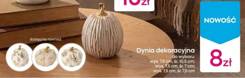 Dynia dekoracyjna